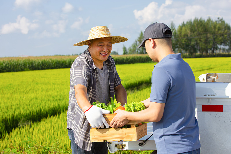 初级农产品采取广东广州跨国货运快速送达新加坡 初级农产品采取广东广州跨国货运快速送达新加坡