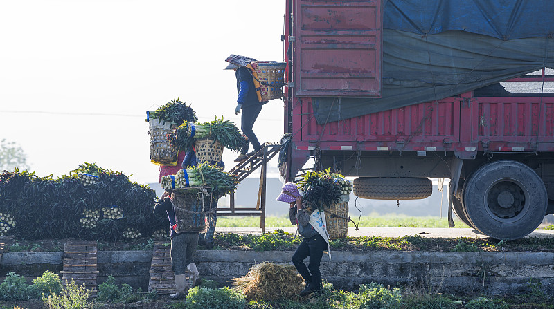 台灯使用广东深圳环球货运完整送达日本东京 台灯使用广东深圳环球货运完整送达日本东京