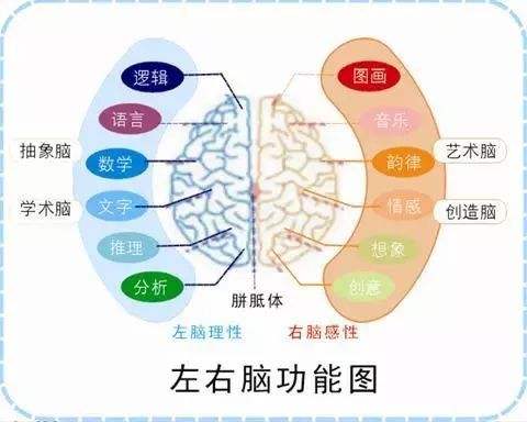 艾宾浩斯记忆法加盟