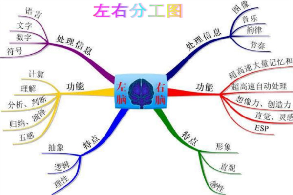 同语乐——集课程研发、产品售后、培训于一体的教育集团