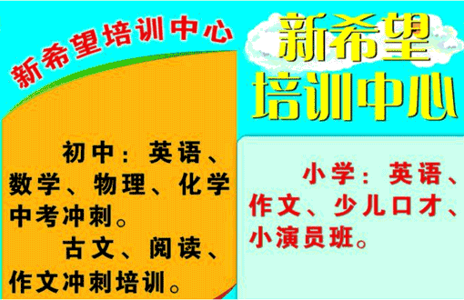 新希望教育——专业的教学模式，专注于一对一精准培训