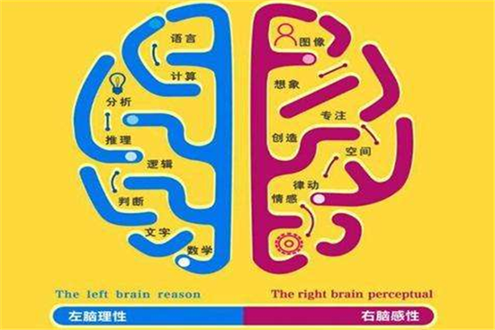 忆触即发——全新思维导图课程体系，先进的教育理念