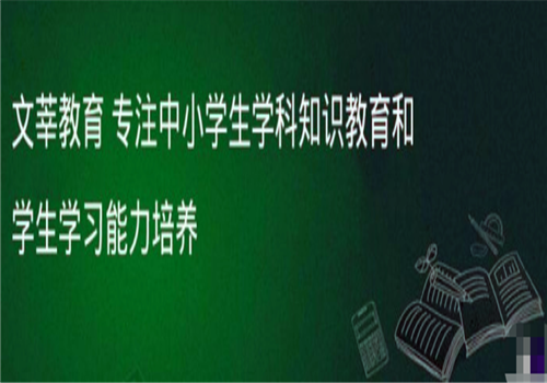 文莘教育——采用精品小班教学与一对一个性化教育相结合的授课形式，