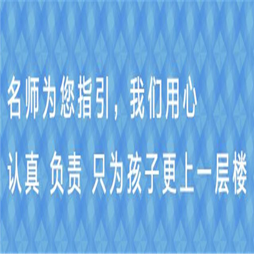 菁优教育——辅导一对一领导机构，初中高中个性化一对一。