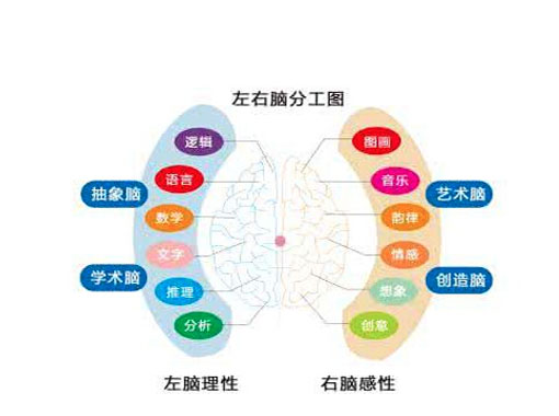 全脑教育——致力于人才能力的研究开发