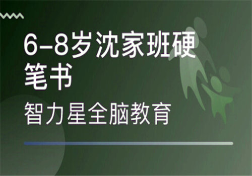 沈家班硬笔书法——互动教学模式，帮助学员兴趣式学习提升，从能力和素质的角度全面提升