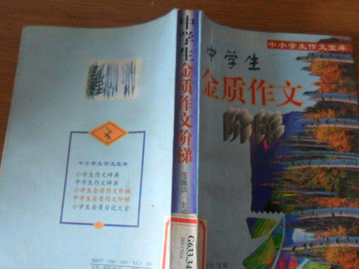 金质作文——专注于为孩子们提供更为全面、专业、高效的作文写作