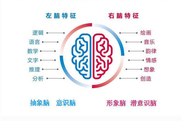 德睿迪教育——重点关注孩子的未来成长和内心成长