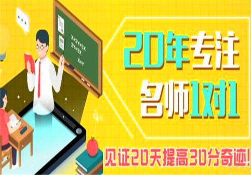 茁华教育——以”主张个性、关爱成长“为教学理念