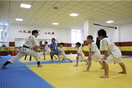 武海国际跆拳道——名师手把手教学