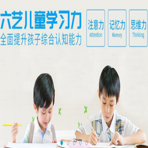 六艺全脑教育——充分发挥孩子的学习优势，培养开拓多元思维水平