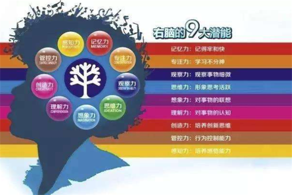 阿尔法潜能开发——专业强大的师资力量，独特高效的教学方法