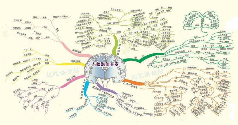 右脑潜能开发——奥桥教育三大系统,培养你的卓越人生