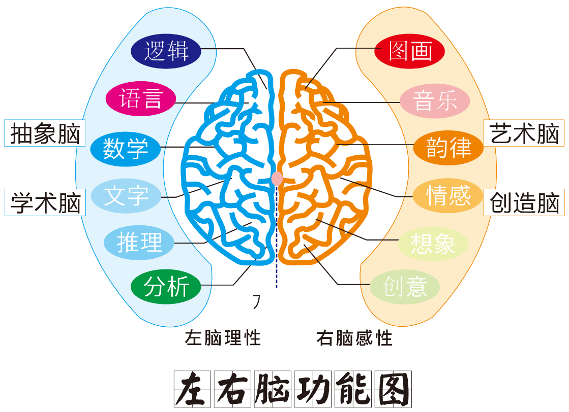 天使全脑——突破人们传统的惯性思维方式，不再单一的依靠左脑记忆，学会运用右脑