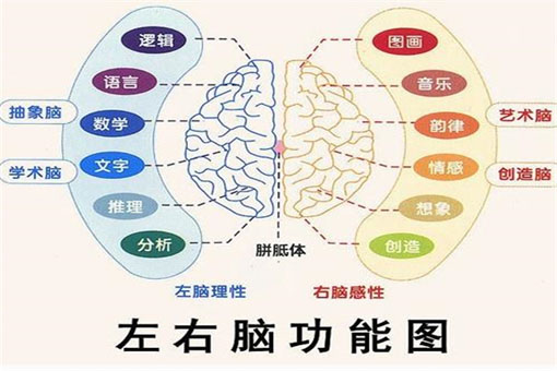 卓能右脑潜能开发——不经意之中可以学会3000多个中英文字、词、及更多的词汇