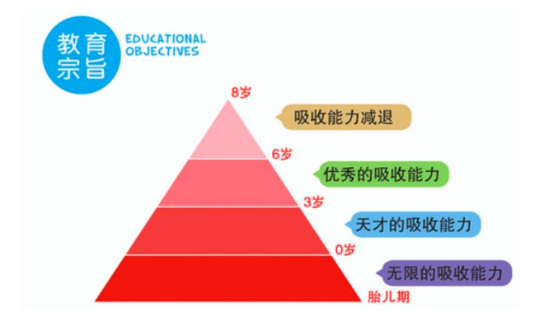 新思维全脑教育——帮助学生快速提分、提升学习效率