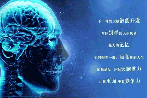 阿尔法潜能开发——专业强大的师资力量，独特高效的教学方法