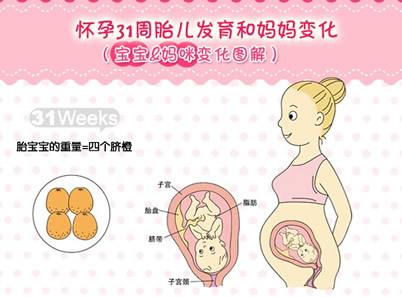 宝宝佳胎教——数十项国内外教育产业的奖项和荣誉