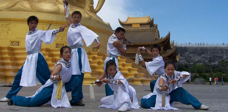 华奥武术——一家专注于培养青少年竞赛套路、武德修养、性格突破、防身术、养生、