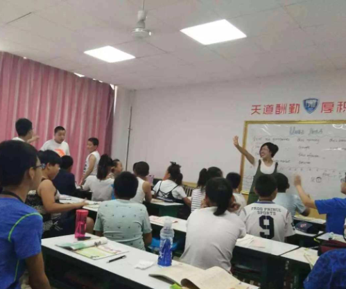 长青藤教育——专业强大的师资力量，独特高效的教学方法