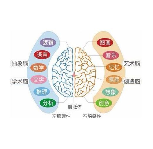 fcf右脑潜能开发——秉承“真诚、敬业、造福人类”的经营理念