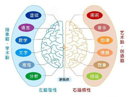 博雅脑力开发——短期内提高学员的记忆力、阅读速读、思维能力5-20倍