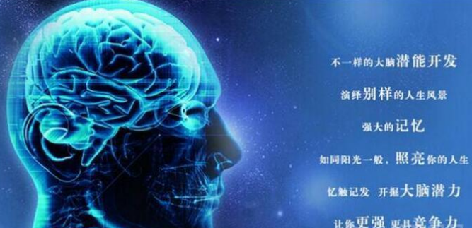 凡人奇迹全脑教育——提升学习效率与效果，实现成绩稳步提升