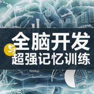 美赋全脑开发——引领全脑开发行业，成为脑潜能开发的新的风向标。