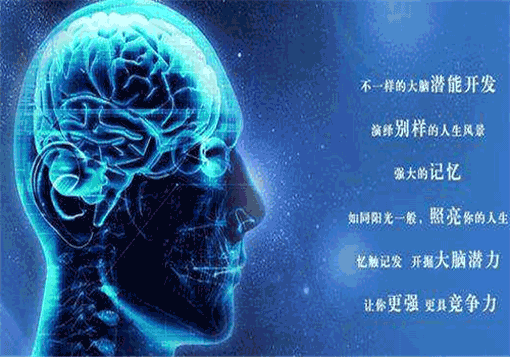 赛迪恩全脑潜能开发——一对一个性化教育