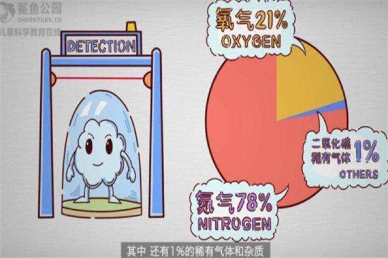 鲨鱼公园科学实验加盟