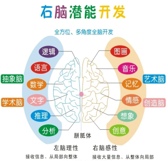 忆发图强全脑潜能教育——做到了全面开发孩子潜能，大力提升记忆力