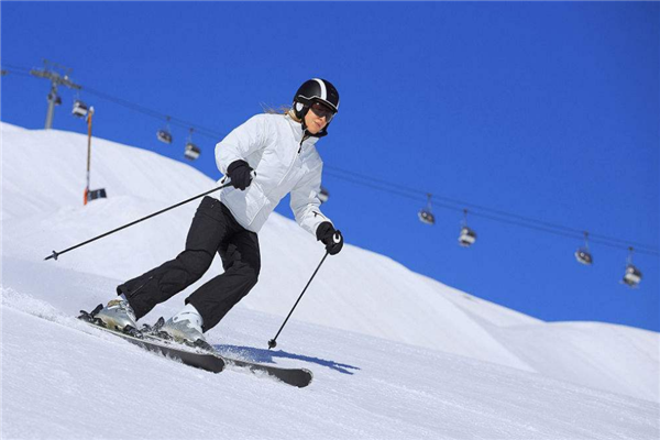 阿比特室内滑雪撑杆