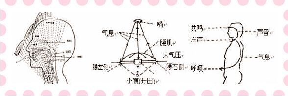 新手学唱歌技巧和发声方法（二）正确的呼吸方法