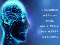 艾宾浩斯记忆法从事英语教学研究，智能教育方面的研究