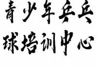 青少年乒乓球培训中心——建立专业、高质量的青少年乒乓球培训中心