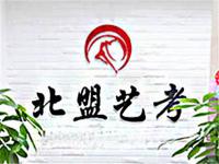 <strong>北盟艺考——河南省一家专业舞蹈培训中心</strong>