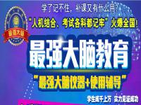 最强大脑——快速提升孩子的记忆力、思维力、学习力