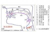 唱歌怎么换气？唱歌换气有什么技巧？